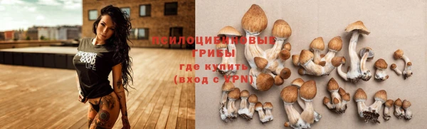 прущий лед Алексеевка