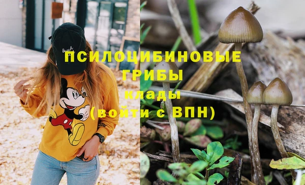 молекула духа Аркадак