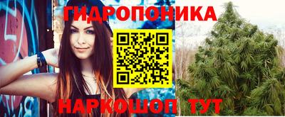 PSILOCYBIN Краснознаменск