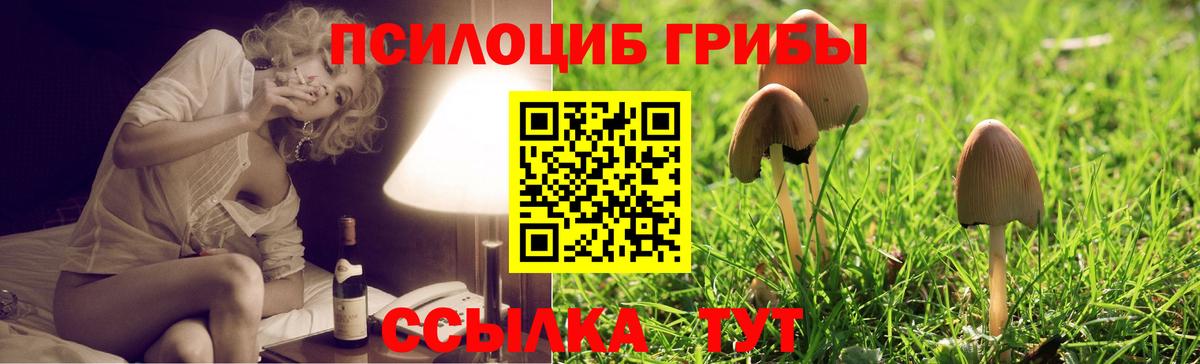 Галлюциногенные грибы прущие грибы  Вход с VPN  как найти закладки  Сатка 